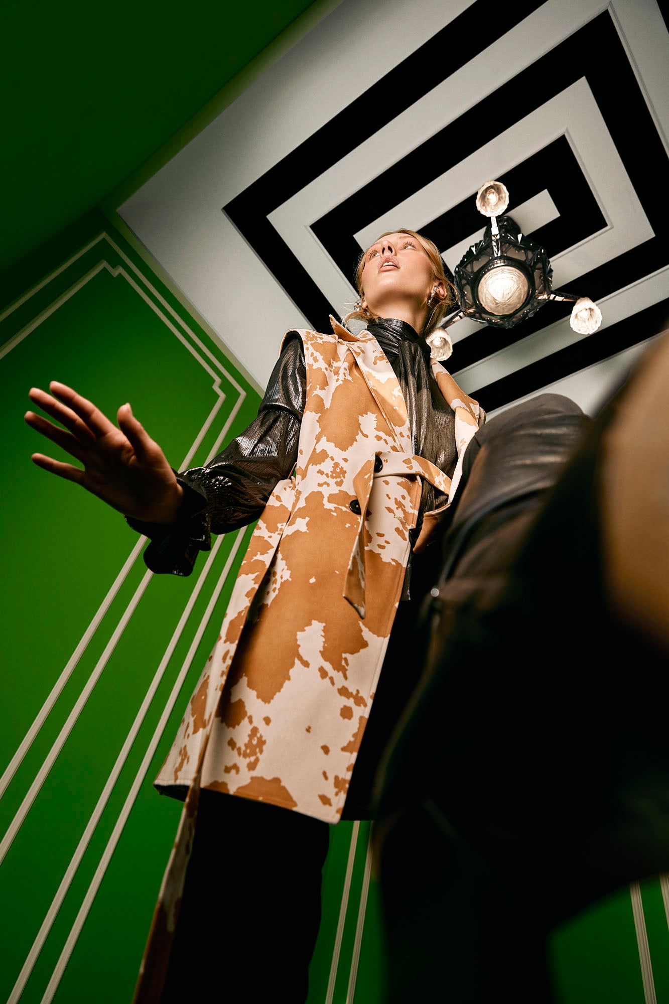 Collection-Imaginarium JOELLE Collection