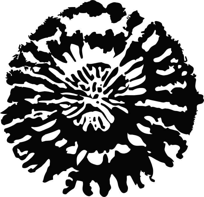 Une-nouvelle-identité-JOELLE JOELLE Collection