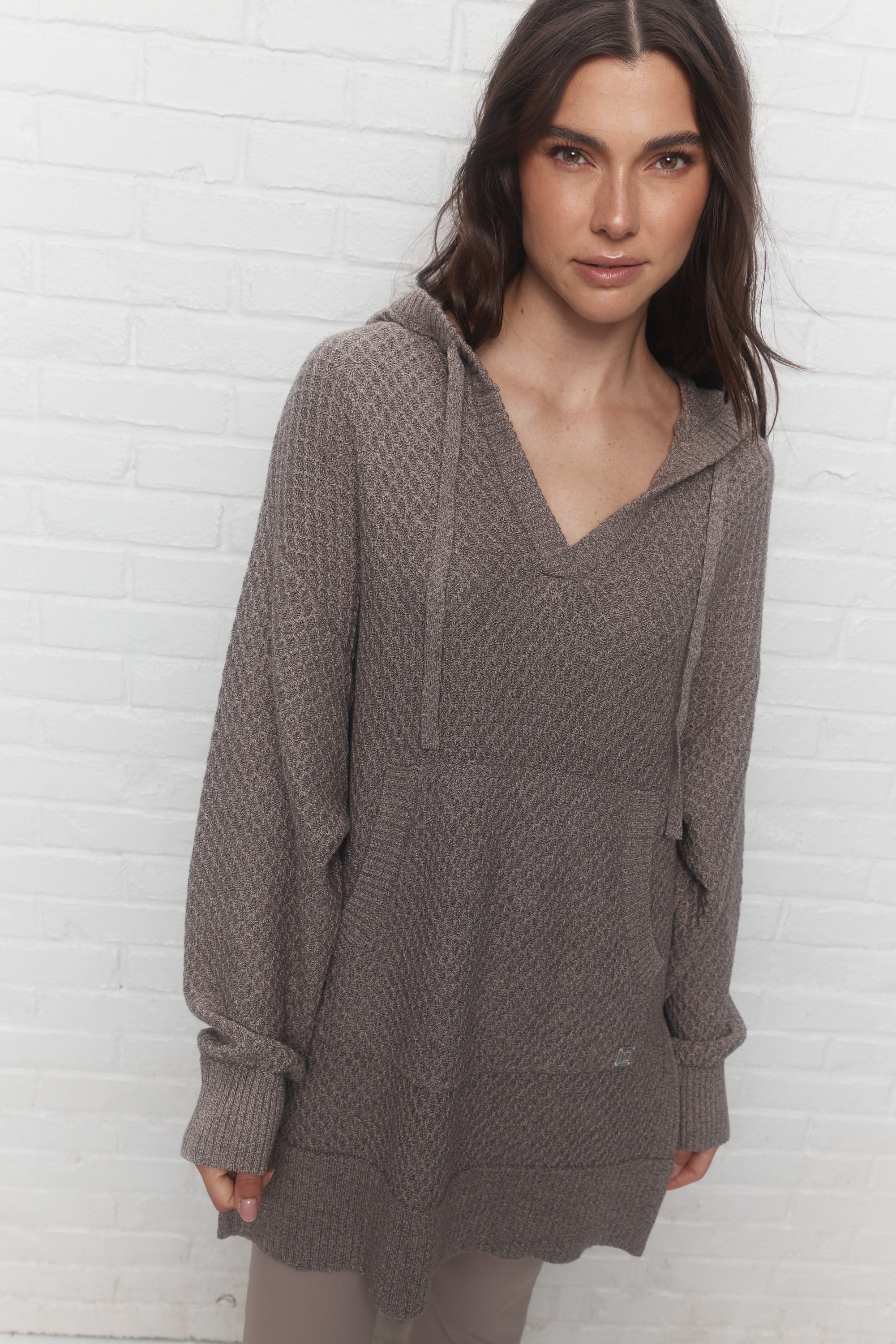 Annick | Chandail gris à capuchon