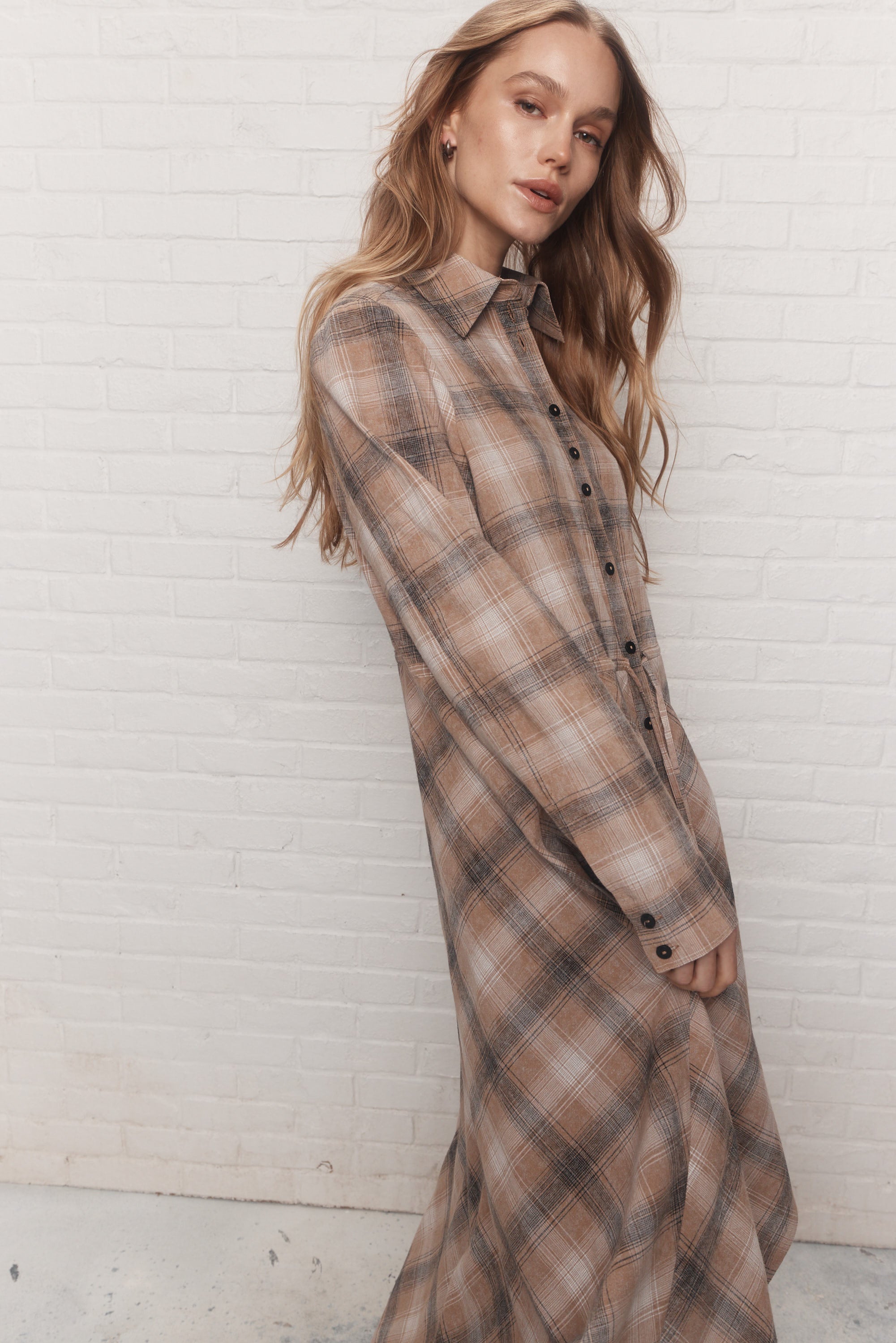 Arizona | Brown dress