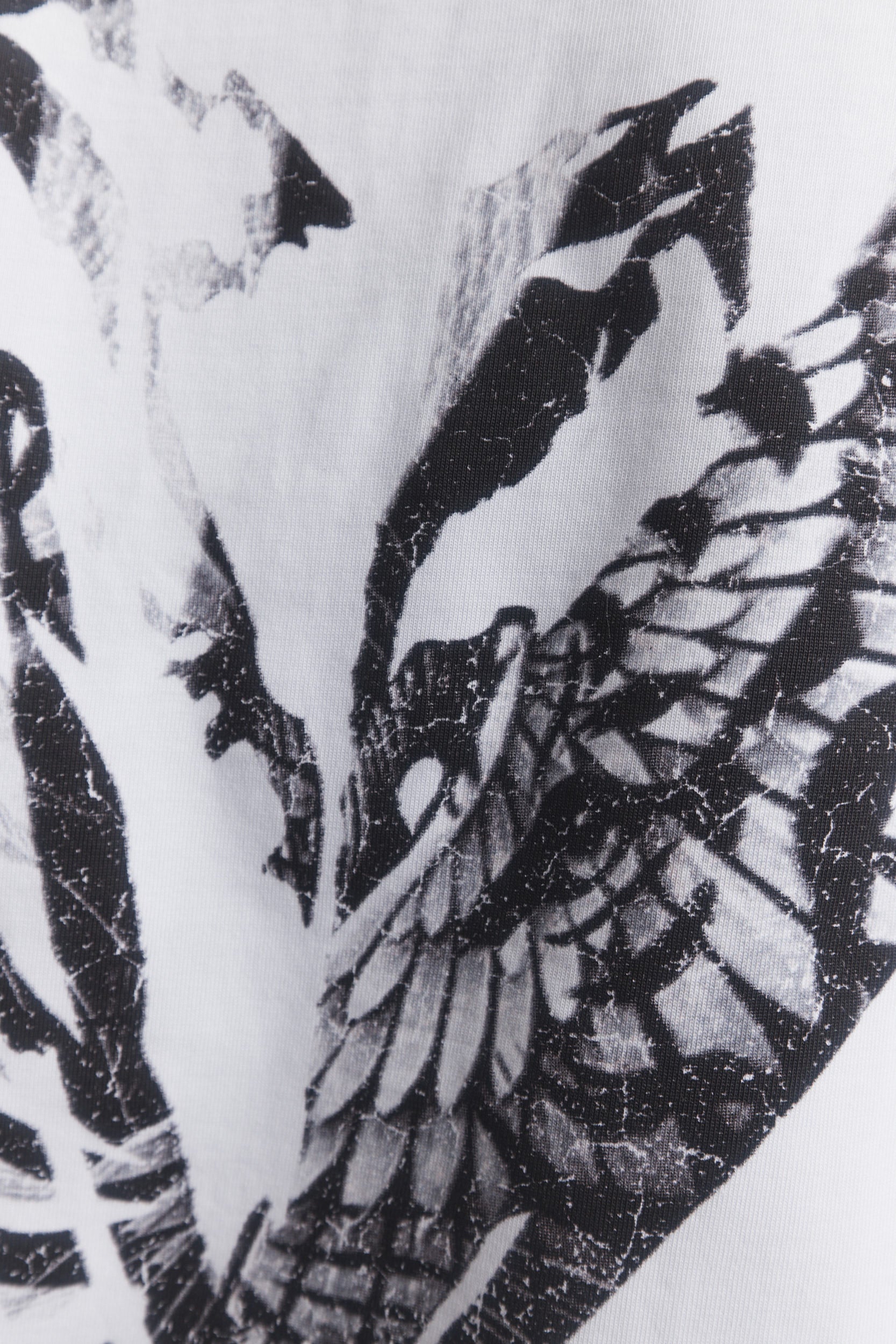 Marshall | T-shirt blanc