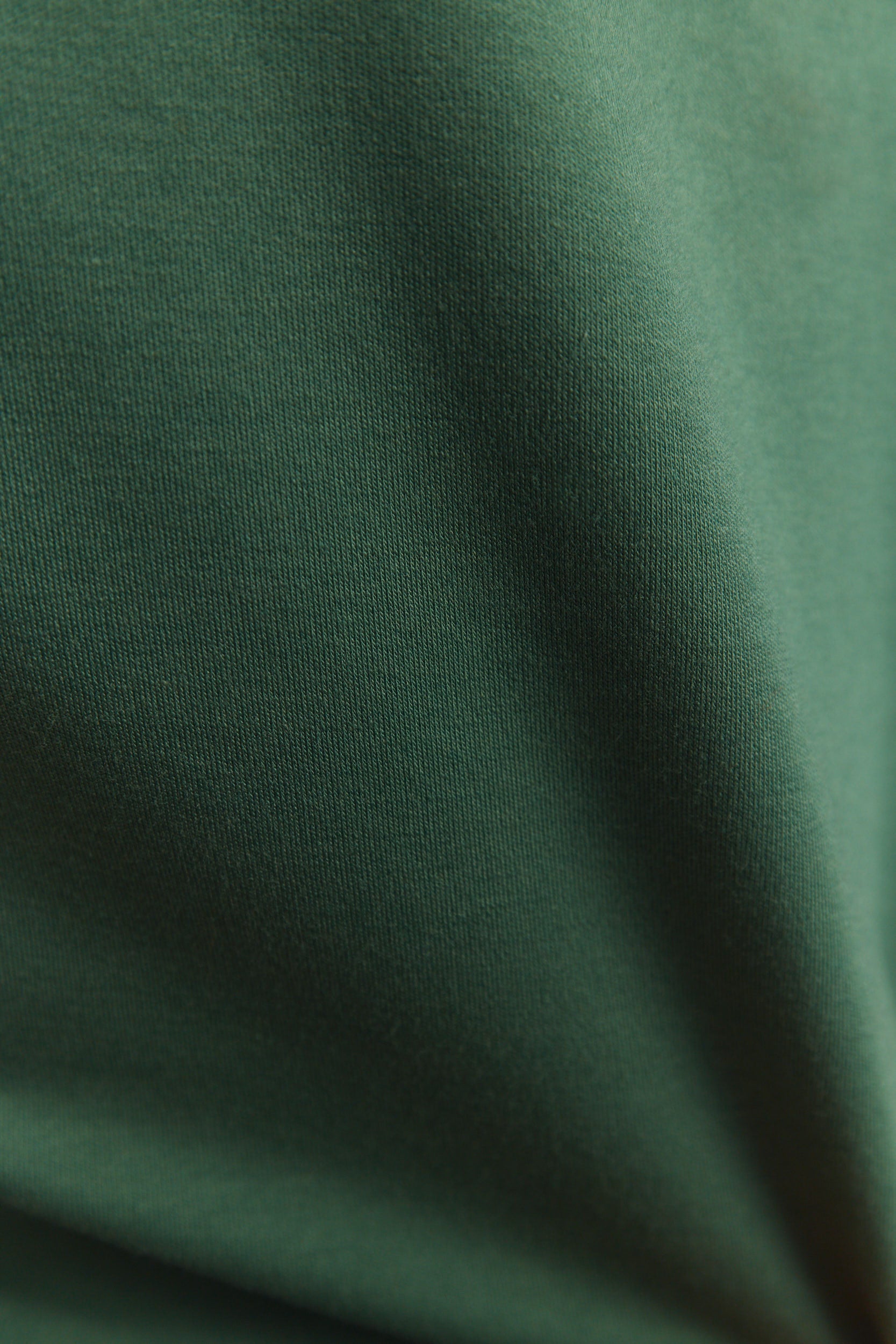 Planta | T-shirt vert