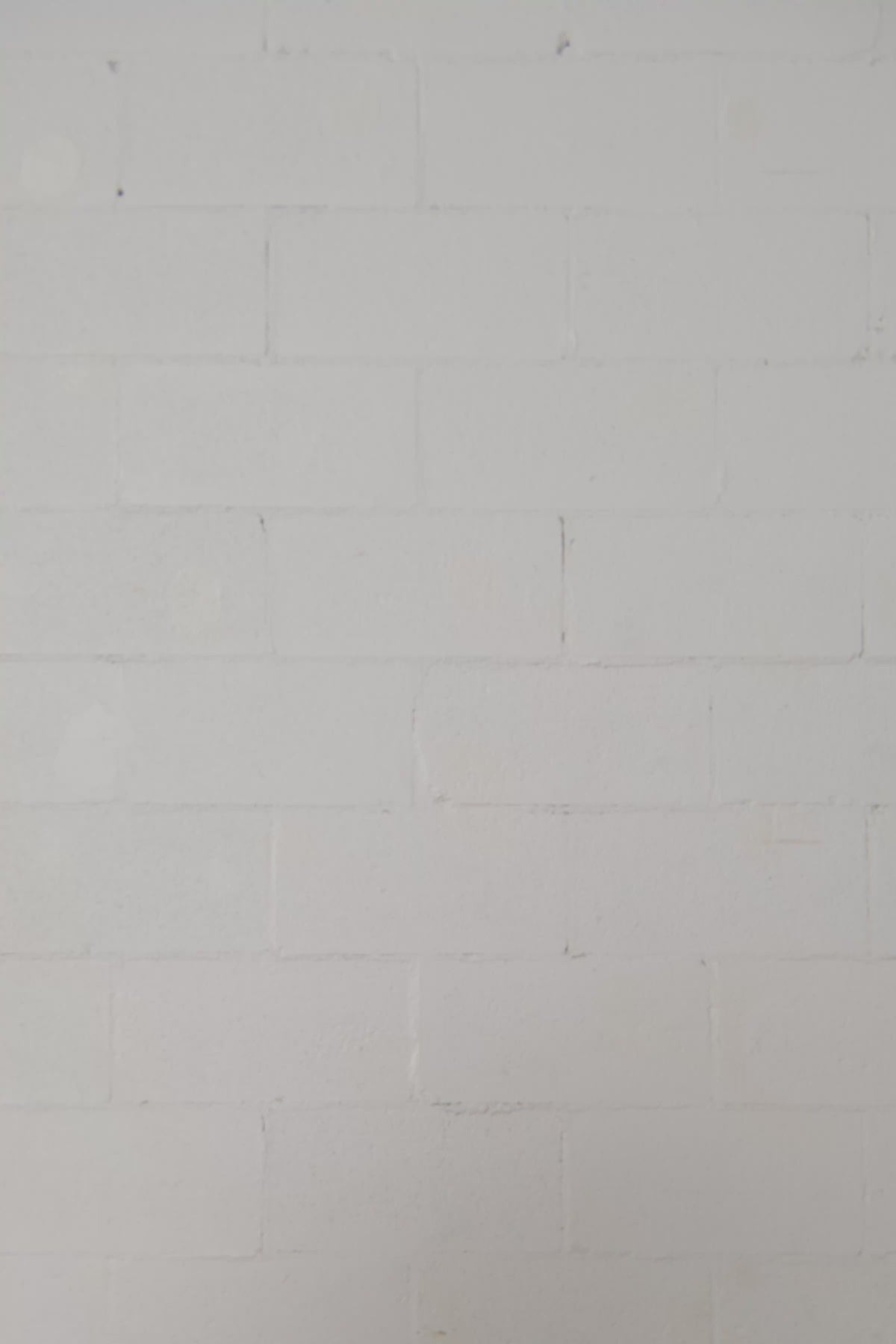 Greg | White knit polo shirt