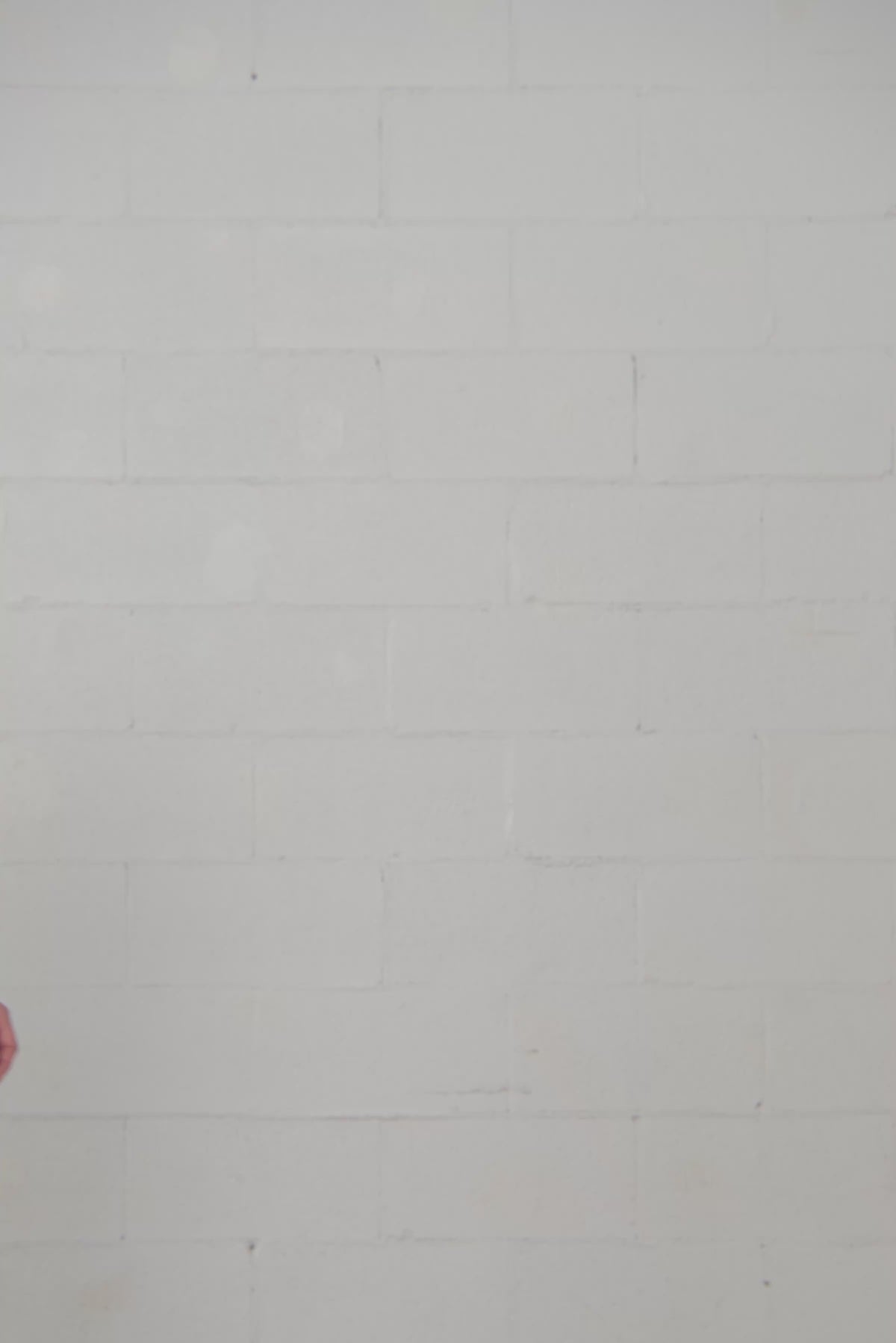 Claudie | Red T-shirt