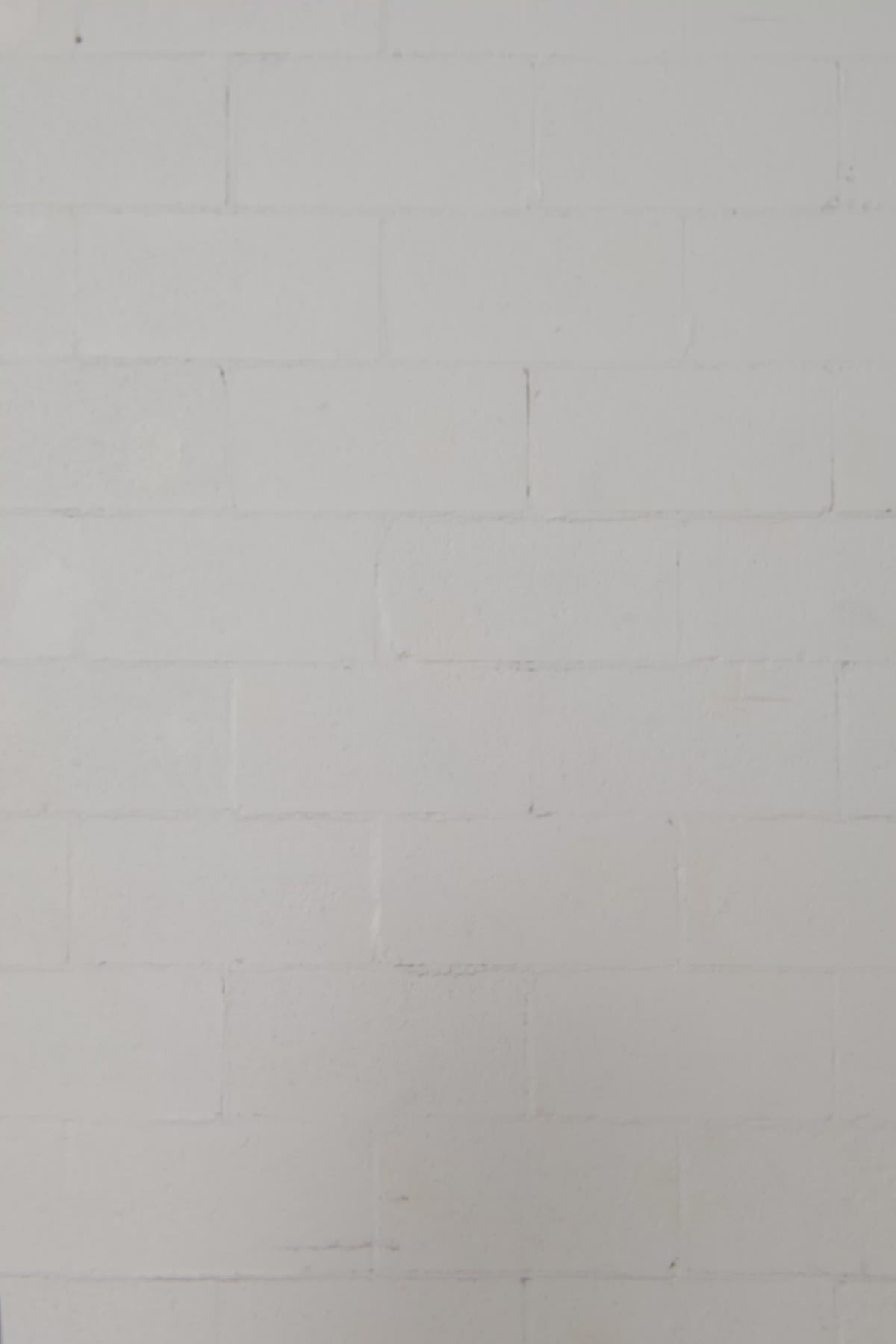 Planta | White T-shirt
