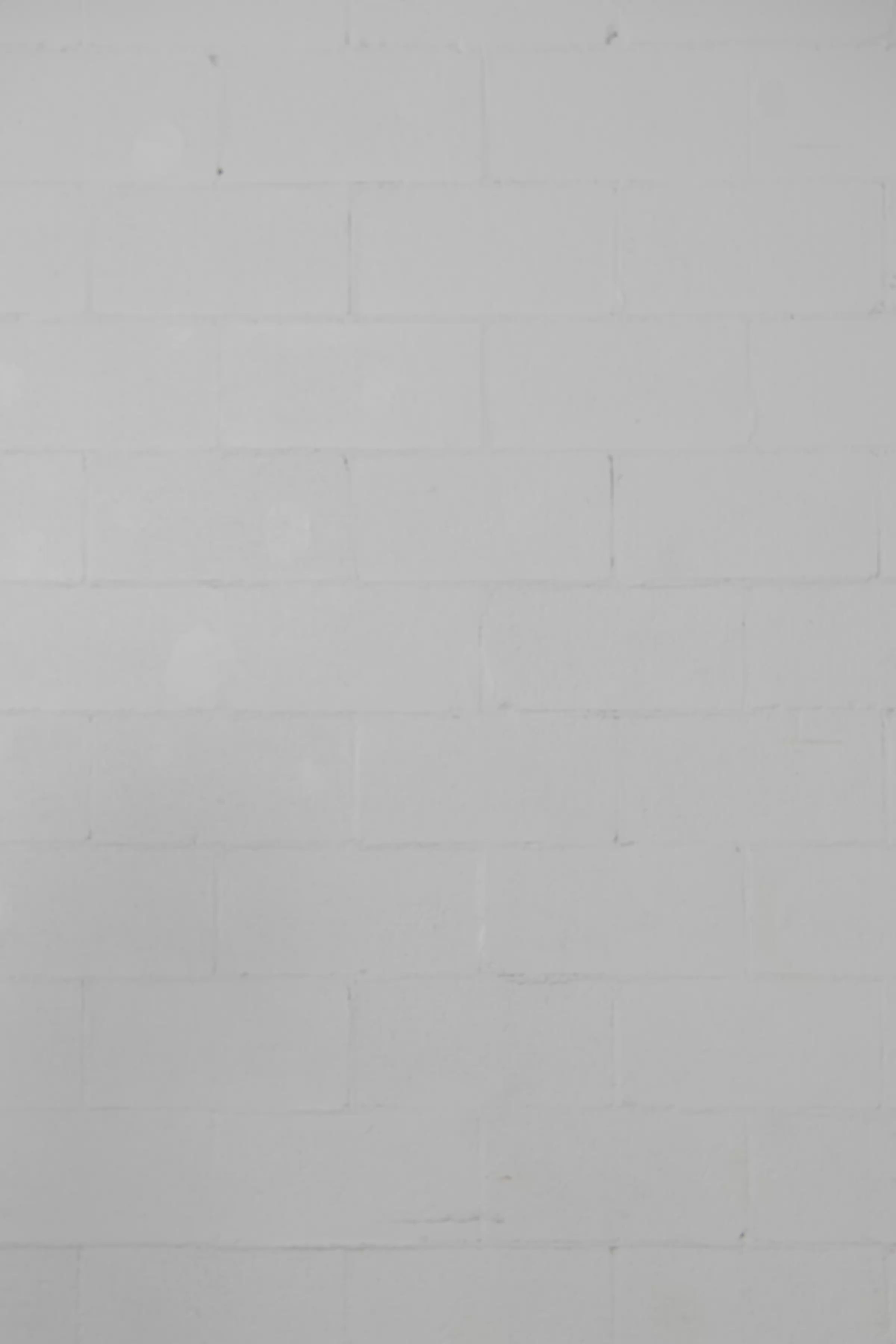 Scarlett | Chemise blanche à col Mao