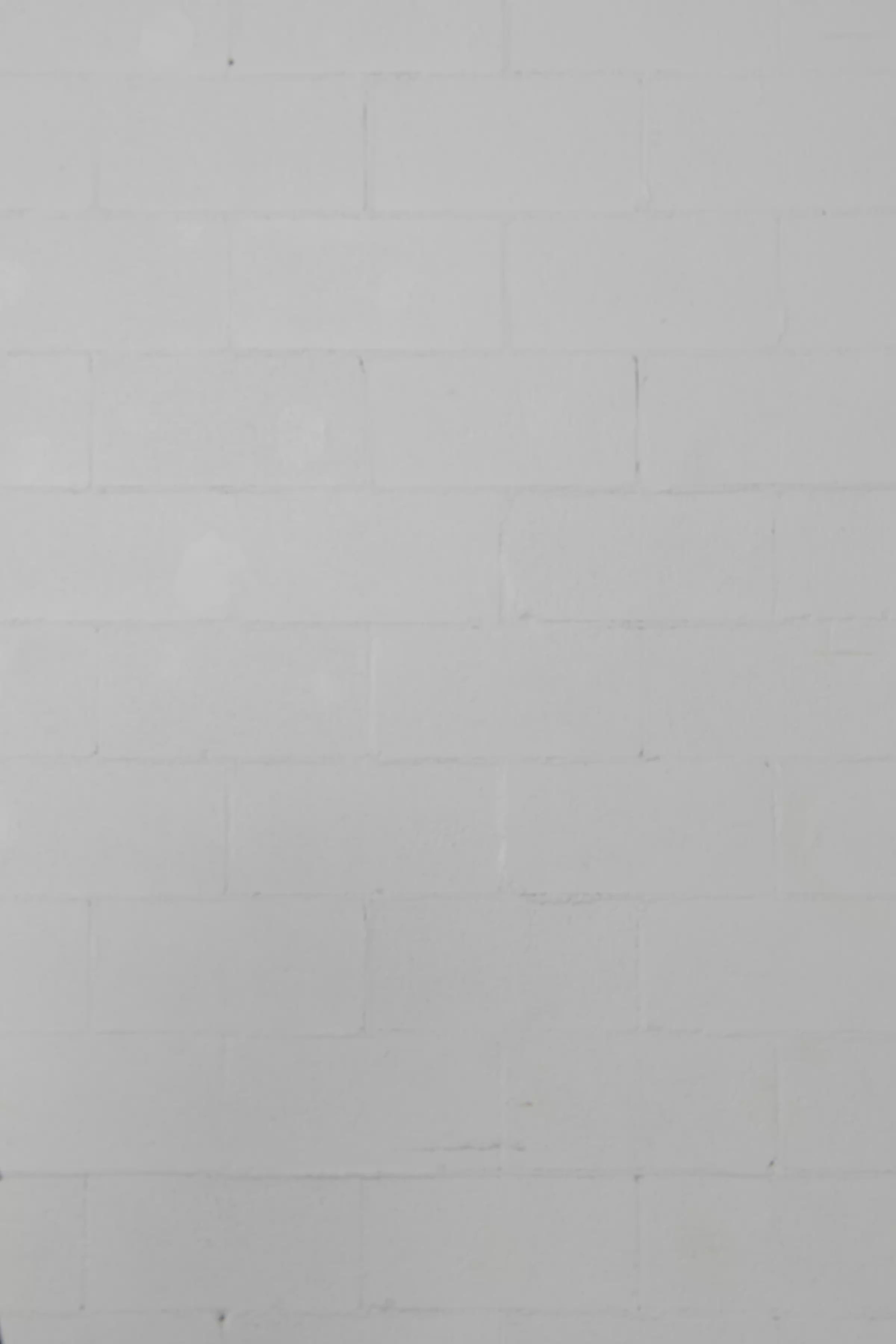 Laudina | Chemise courte crème