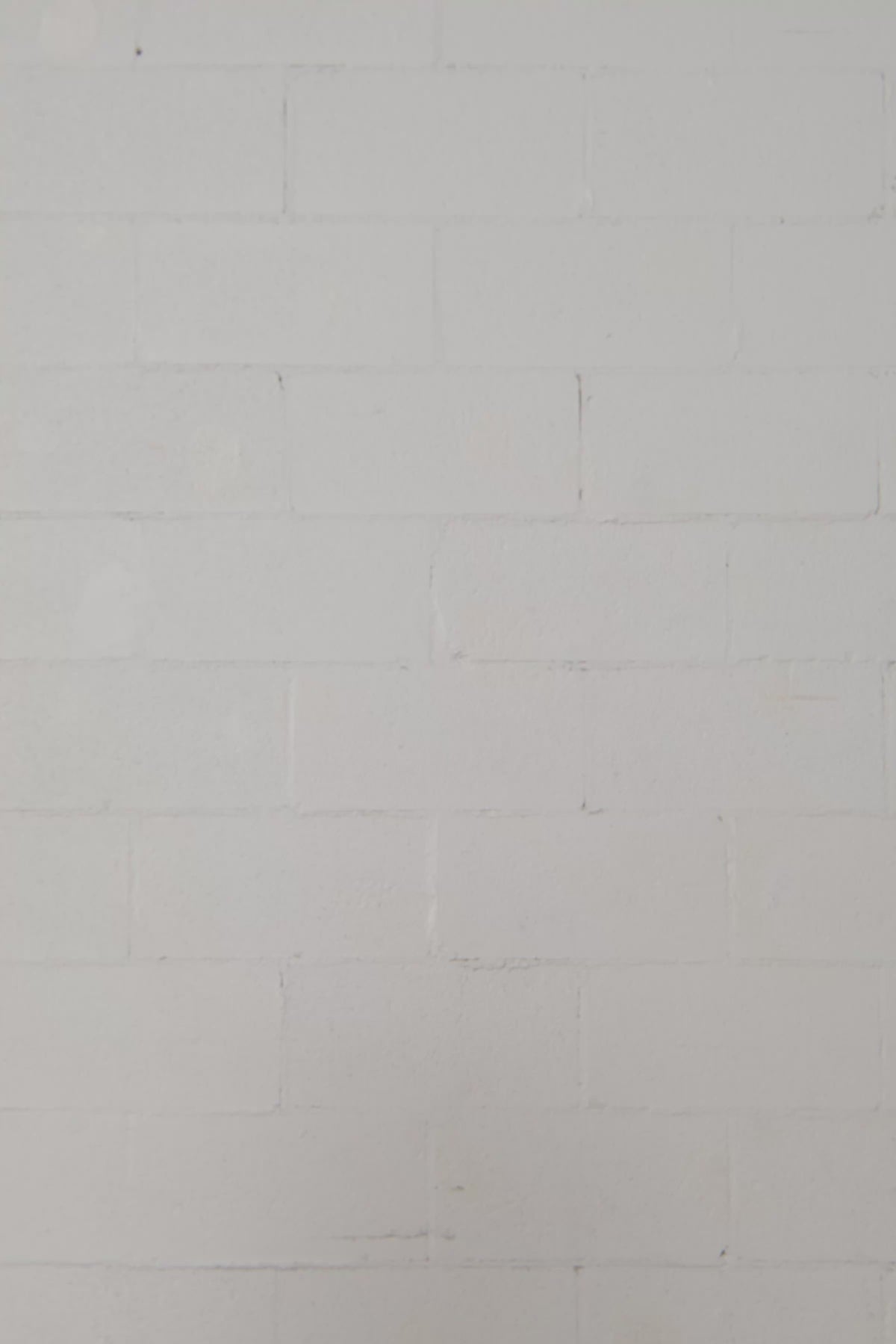 Sandra | Camisole blanche