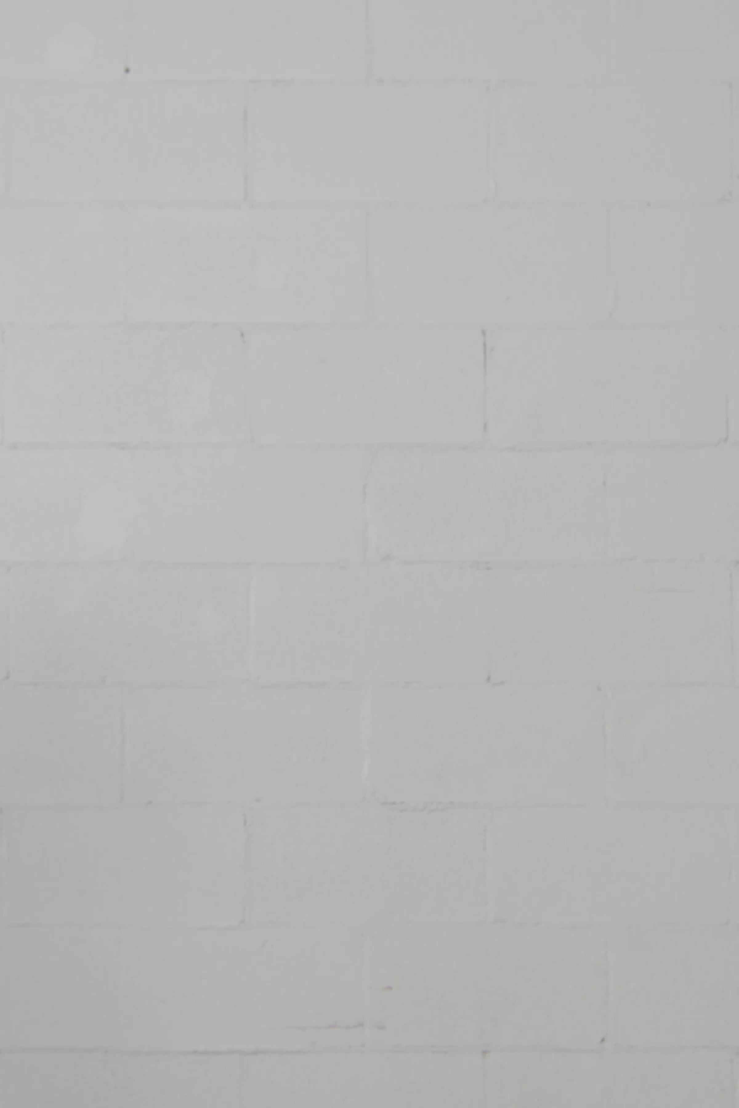 Brenda | Fitted black T-shirt