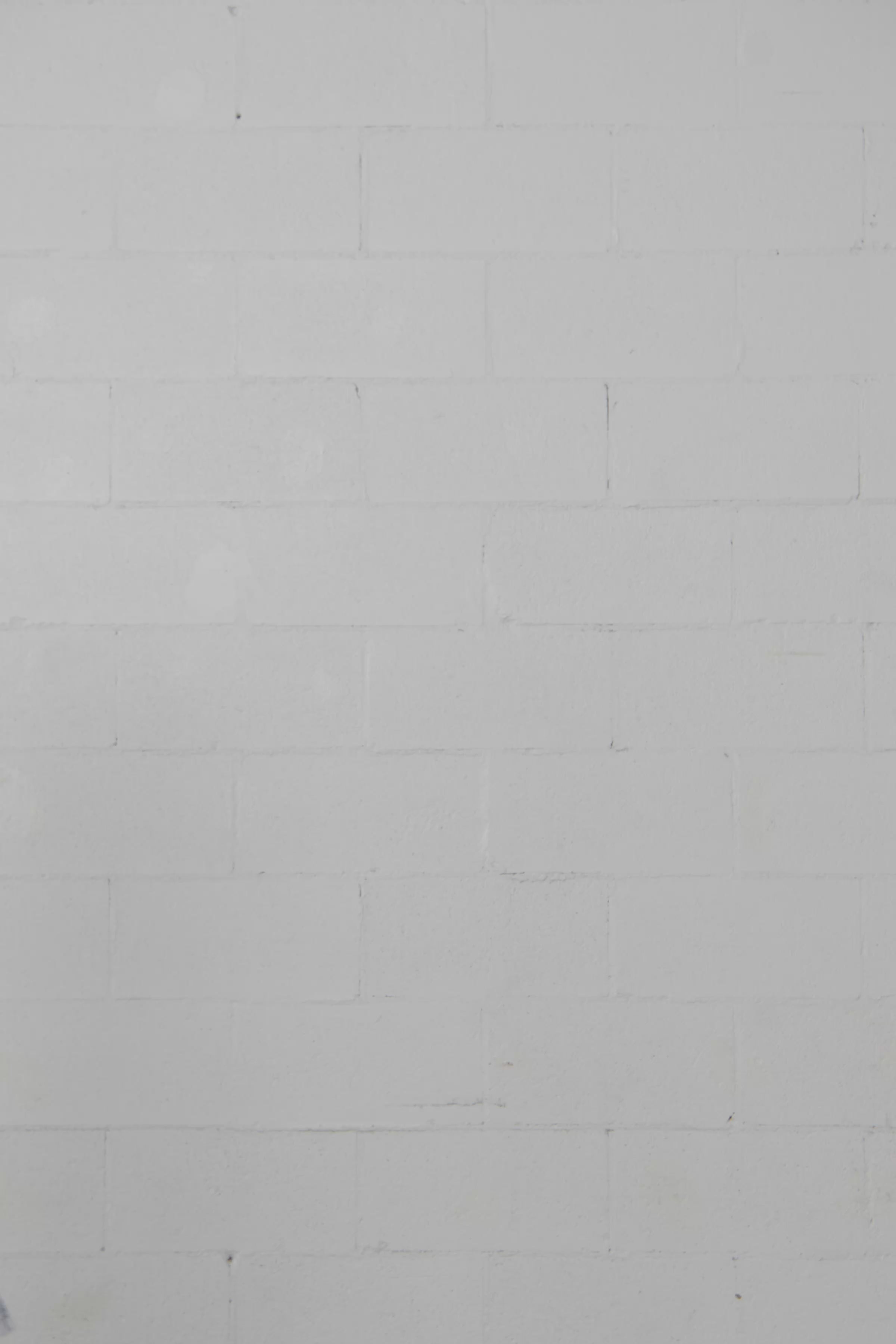 Trevor | Camisole blanche